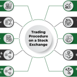 Forex beginners broker beginner